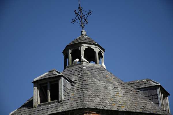 Wales 265 Erdig