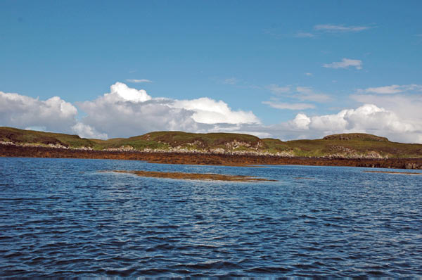 1 Seals in Dunvegan Isle of Skye  23