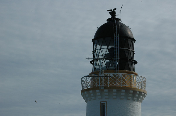 Calais_to_Scrabster 0304 Dunnet Head most northerly point of mainland Scotland