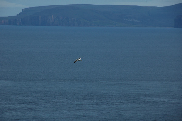Calais_to_Scrabster 0314 Dunnet Head most northerly point of mainland Scotland