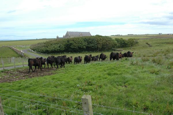 Calais_to_Scrabster 0350 Queen Mothers House Castle of Mey