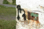 Calais_to_Scrabster 0300 Dunnet Head most northerly point of mainland Scotland