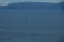 Calais_to_Scrabster 0314 Dunnet Head most northerly point of mainland Scotland