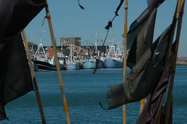 Hirtshals 019