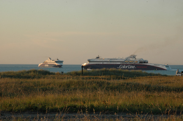 Hirtshals 289