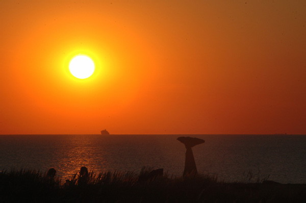 Hirtshals 291