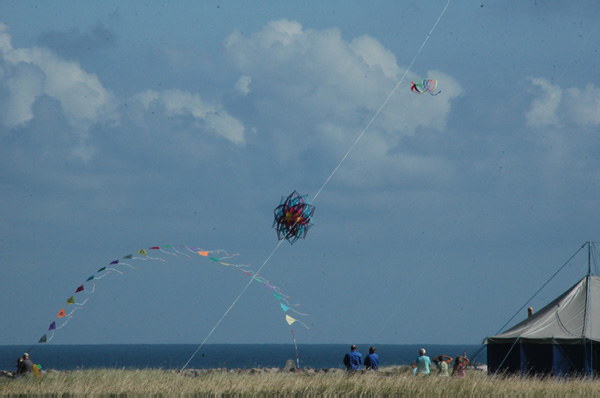 Hirtshals 303