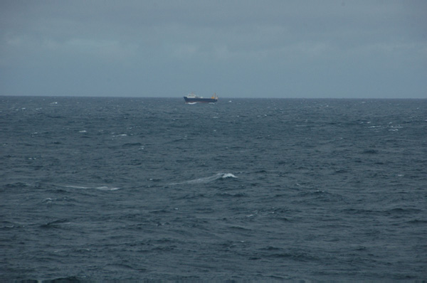 Torshaven_Faroe_Islands 010