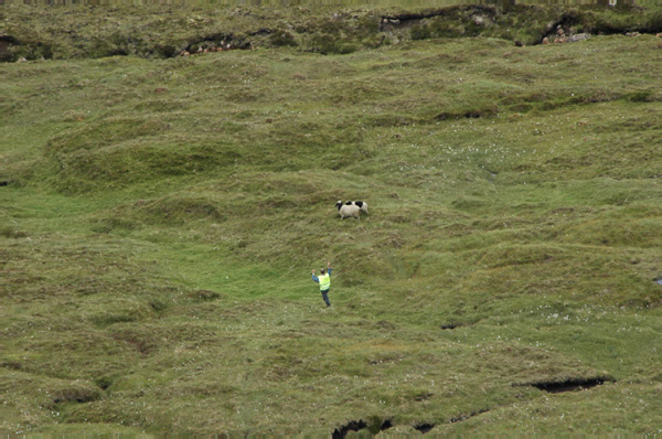 Torshaven_Faroe_Islands 315