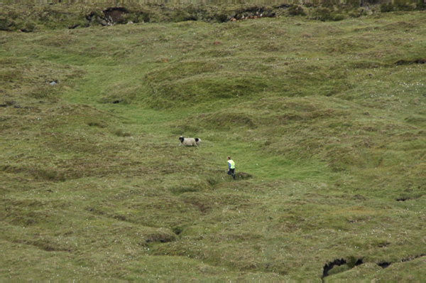 Torshaven_Faroe_Islands 316