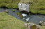 Torshaven_Faroe_Islands 331