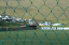 Torshaven_Faroe_Islands 362