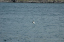 Torshaven_Faroe_Islands 423