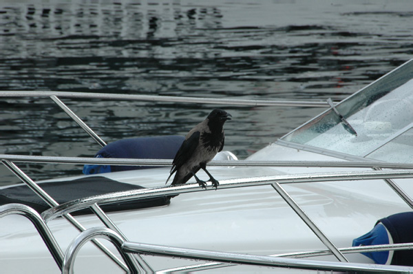 Bergen 038