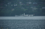 Lillehammer 095