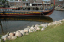 Roskilde Vikingskibs 032