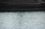 Roskilde Vikingskibs 065