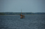 Roskilde Vikingskibs 206