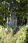 Kuusamo Hultinen 050