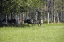 Kuusamo Hultinen 167