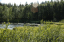 Polar Circle 20