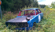 rallarros (1097)