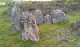 rallarros (1101)