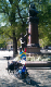 rallarros (447)