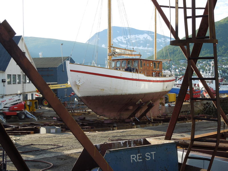 Hurtigruten (82)