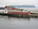 Hurtigruten (22)