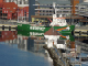 Hurtigruten (79)