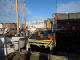 Hurtigruten (91)