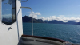 Nesna_Stokmarknes_Tromsoe-175