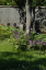 Torshaven_Faroe_Islands 508